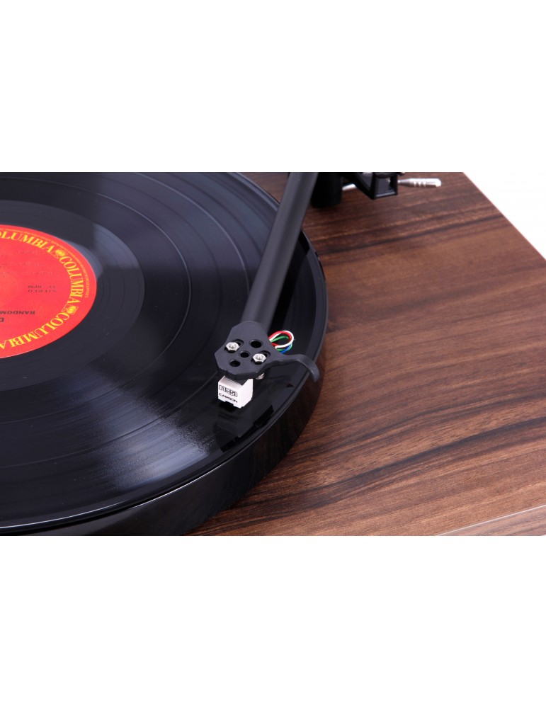REGA  PLANAR 1 WALNUT