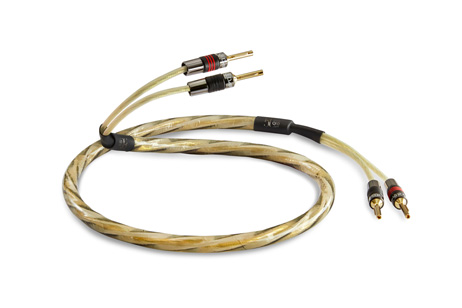 QED – GOLDEN ANNIVERSARY XT  PRETERMINATO BANANE