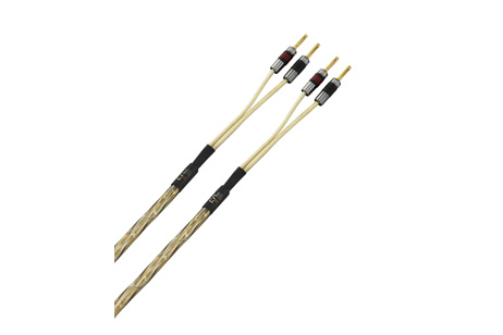 QED – GOLDEN ANNIVERSARY XT  PRETERMINATO BANANE