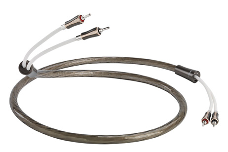 QED – SUPREMUS ZR PRETERMINATO BANANE