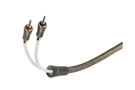 QED – SUPREMUS ZR PRETERMINATO BANANE