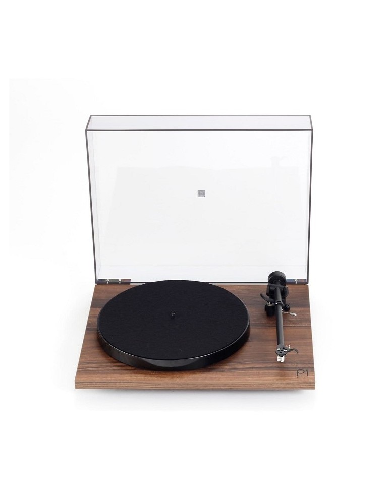 REGA  PLANAR 1 PLUS WALNUT