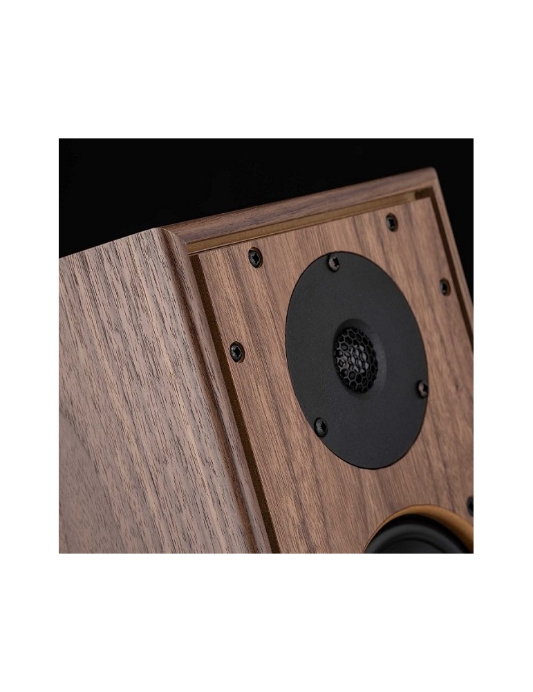 HARBETH  HL P3ESR XD2 Walnut (coppia)