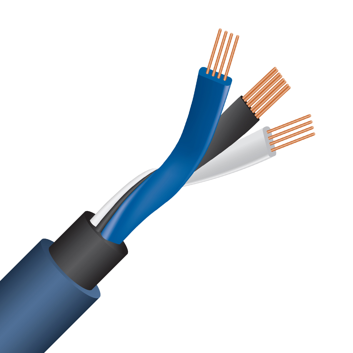 WIREWORLD OASIS  8 RCA (2 mt)