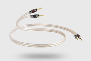 QED – RERERENCE XT 40i al Mt NO VENDITA ONLINE